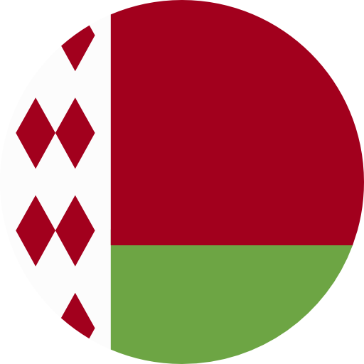 Icon Flag Belarus